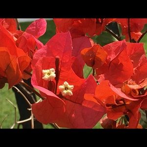 Meet your Posher, Marina